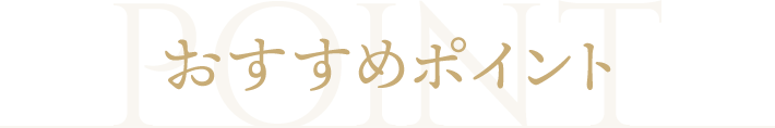 おすすめポイント